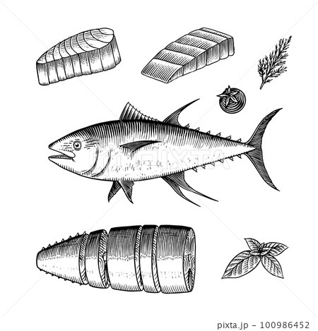Tuna fish picture stock illustration. Illustration of flavescens - 73005172