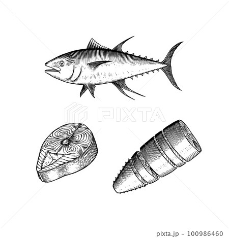 Premium Vector | Vector illustration of tuna tuna fish vector sketch on  white background