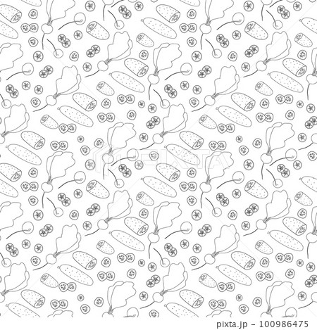 Hand drawn outline vegetable seamless pattern Hand drawn outline vegetable seamless pattern 100986475
