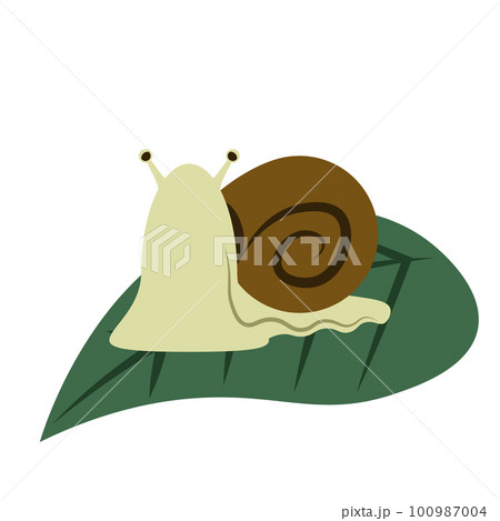 カタツムリのフラットベクターイラスト 100987004