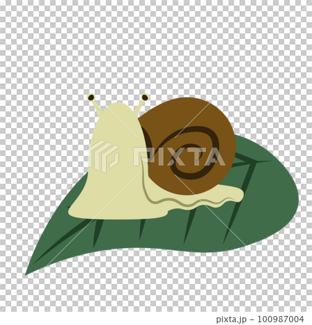 カタツムリのフラットベクターイラスト 100987004