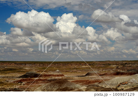 Desolate Landscape Petrified Forest Arizona 100987129