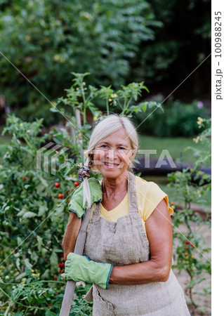 Senior woman farmer having break during digging her vegetables garden. Senior woman farmer having break during digging her vegetables garden. 100988245