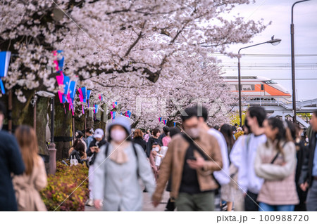 日本の東京都市景観 マスク着用は「個人の判断」……隅田公園の桜が満開…特急の姿も=3月27日 日本の東京都市景観 マスク着用は「個人の判断」……隅田公園の桜が満開…特急の姿も=3月27日 100988720