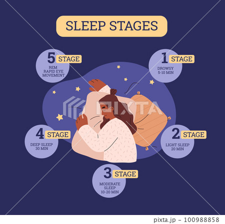 Sleep stages infographic, flat vector illustration isolated. 100988858