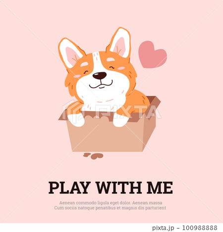 Squared banner or postcard with cute corgi dog sitting in cardboard box flat style Squared banner or postcard with cute corgi dog sitting in cardboard box flat style 100988888