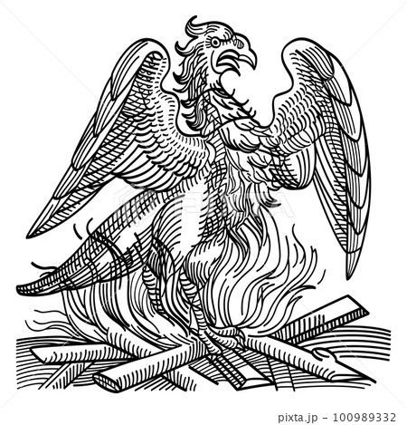 A phoenix obtains new life by rising from the ashes of its predecessor. Immortal bird and creature of the ancient Greek mythology. Associated with the sun, he regenerates cyclically, or is born again. 100989332