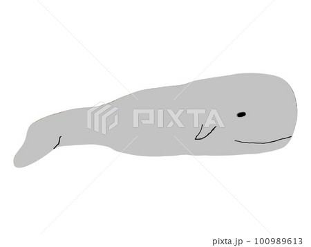 whale 100989613