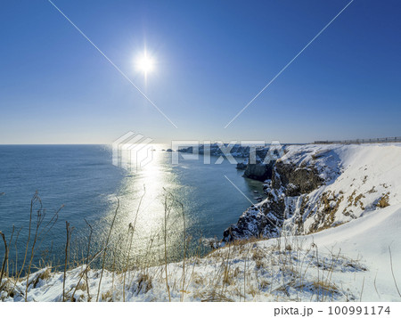 北海道・冬の霧多布岬 / Cape Kiritappu, Japan 100991174