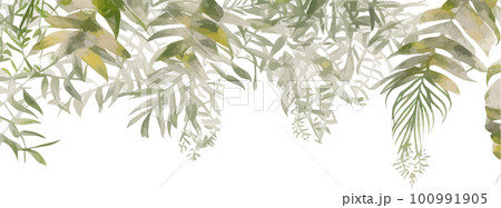 Eucalyptus branches, seeds and leaves. Hand drawn eucalyptus bouquet isolated on white background. Floral illustration 100991905