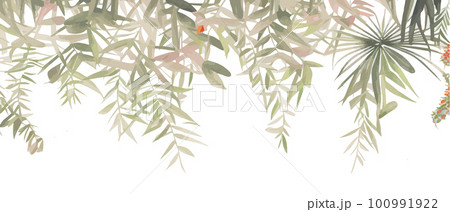 Eucalyptus branches, seeds and leaves. Hand drawn eucalyptus bouquet isolated on white background. Floral illustration 100991922