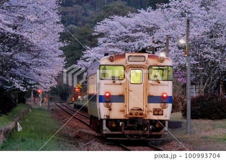 桜満開　JR肥薩線　嘉例川駅 100993704