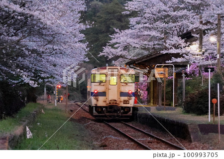 桜満開 JR肥薩線 嘉例川駅 桜満開 JR肥薩線 嘉例川駅 100993705