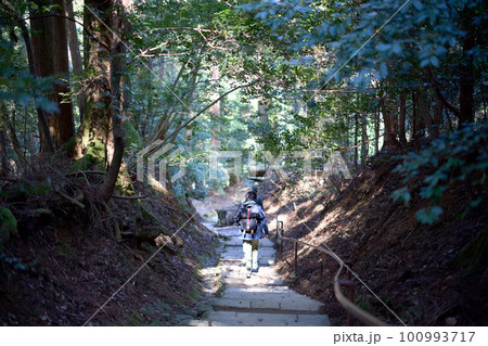 鞍馬山の山道 100993717