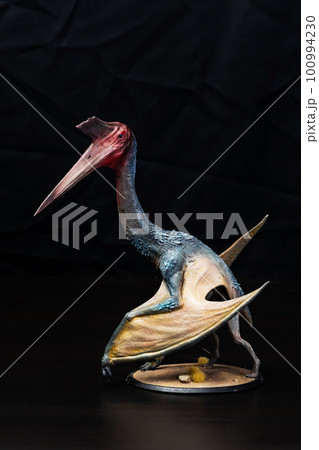 The Pterosaur dinosaur in the dark The Pterosaur dinosaur in the dark 100994230