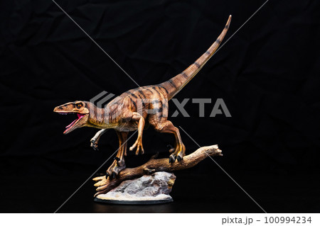 The Velociraptor dinosaur in the dark The Velociraptor dinosaur in the dark 100994234