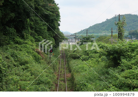 信号 信号 100994879