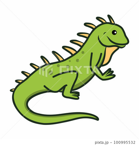 Iguana Exotic animals and lizards. 100995532