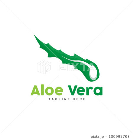 Aloe Vera Logo, Green Plant Design, Traditional Medicine And Skin Care Plant Vector, Hair Care, Symbol Icon Illustration 100995703