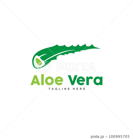 Aloe Vera Logo, Green Plant Design, Traditional Medicine And Skin Care Plant Vector, Hair Care, Symbol Icon Illustration Aloe Vera Logo, Green Plant Design, Traditional Medicine And Skin Care Plant Vector, Hair Care, Symbol Icon Illustration 100995705