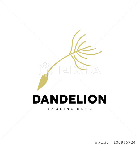 Dandelion Logo, Vector Plant Dandelion flower, Design Icon Template Dandelion Logo, Vector Plant Dandelion flower, Design Icon Template 100995724