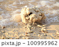 男梅のサンゴ 100995962