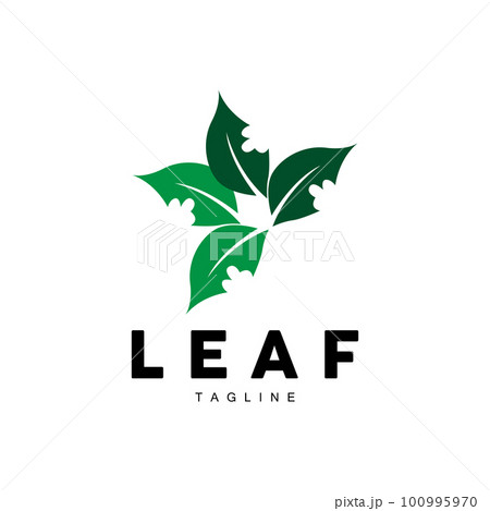 Green Leaf Logo, Ecology Natural Plant Vector, Nature Design, Illustration Template Icon 100995970