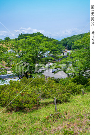 鹿沼市花木センター　駐車場付近　初夏の風景 100996599