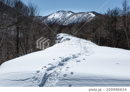 快晴の雪山稜線の登山者雪の踏み跡 快晴の雪山稜線の登山者雪の踏み跡 100996634