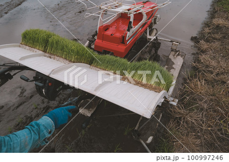 Agriculture Agriculture 100997246