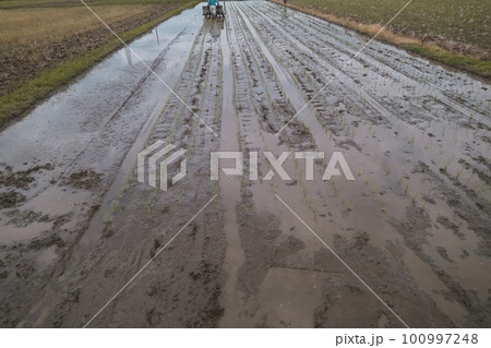 Agriculture 100997248