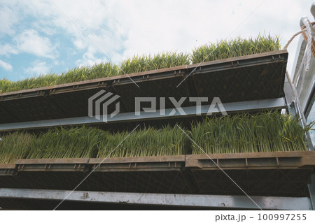 Agriculture Agriculture 100997255