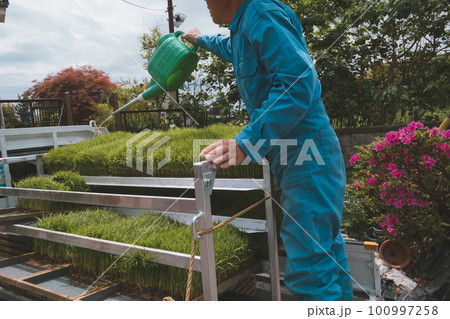 Agriculture 100997258