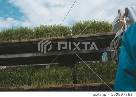 Agriculture 100997263