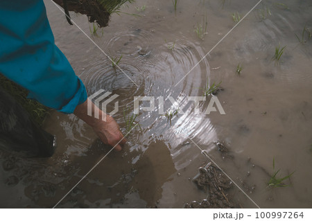 Agriculture Agriculture 100997264