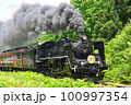 JR東日本　磐越西線　SLばんえつ物語号　正面　IN新緑 100997354
