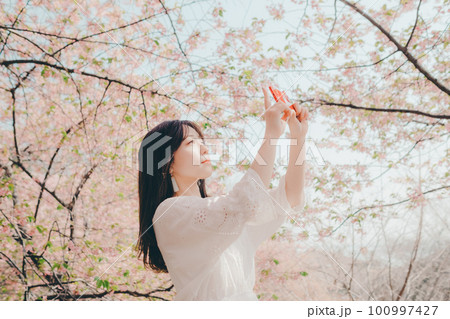 スマホで桜を撮る女性 スマホで桜を撮る女性 100997427