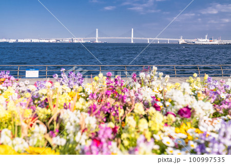 《神奈川県》みなとみらい臨港パーク・花咲く春の風景 《神奈川県》みなとみらい臨港パーク・花咲く春の風景 100997535