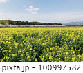 菜の花畑のある風景 100997582
