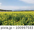 菜の花畑のある風景 100997583