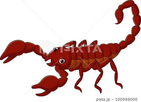 Cartoon scorpion on white background 100998000