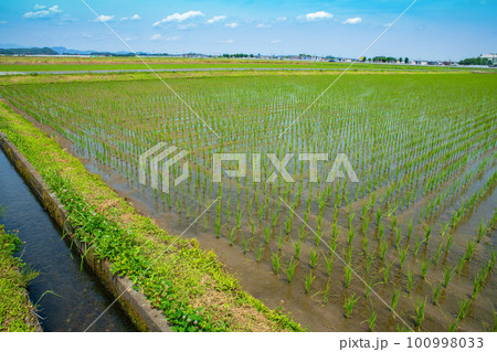 田園風景　道の駅にしかた付近　初夏の季節　　　　 100998033