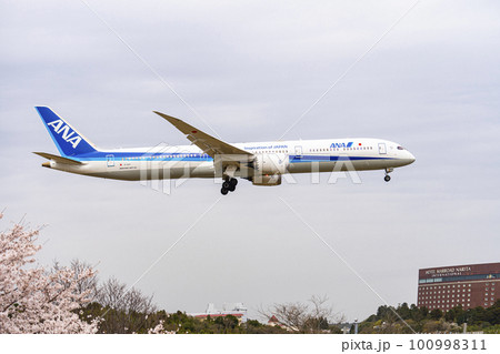 春の空港　着陸する飛行機と桜の花　さくらの山公園　千葉県成田市 100998311