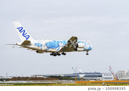 春の空港 着陸する飛行機の後ろ姿 千葉県成田市 春の空港 着陸する飛行機の後ろ姿 千葉県成田市 100998395