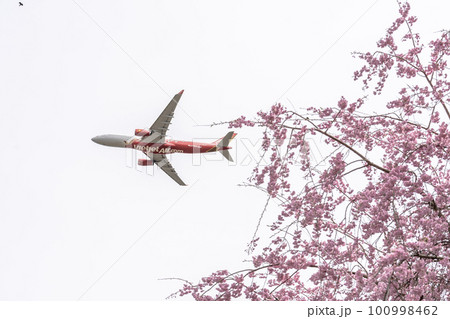春の空港 離陸する飛行機と桜の花 さくらの山公園 千葉県成田市 春の空港 離陸する飛行機と桜の花 さくらの山公園 千葉県成田市 100998462