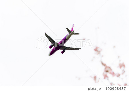 春の空港　離陸する飛行機と桜の花　さくらの山公園　千葉県成田市 100998487