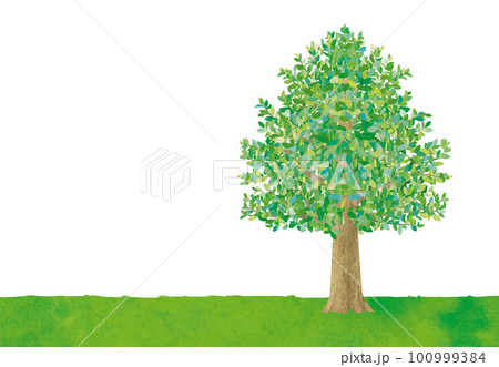 木のイラスト 100999384