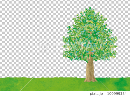 木のイラスト 100999384