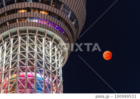 《東京都》皆既月食とスカイツリー・2022年11月8日 100999531
