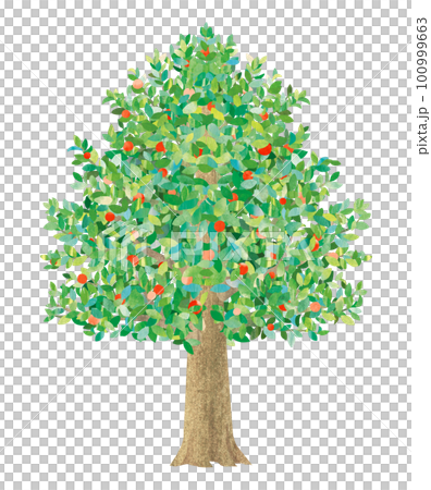 実の付いた木のイラスト 100999663